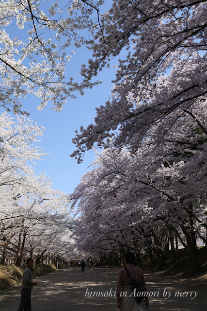 a0207736_2384256.jpg