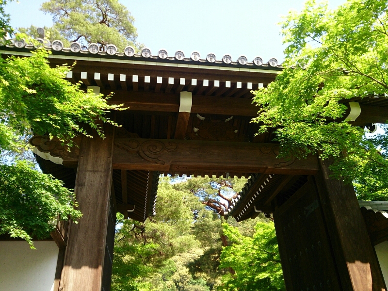 b0309937_22544522.jpg