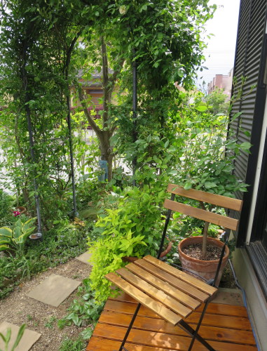 b0178339_07015358.jpg