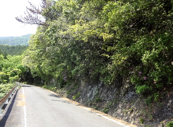 b0149340_21245445.jpg