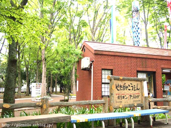 d0207540_7381990.jpg