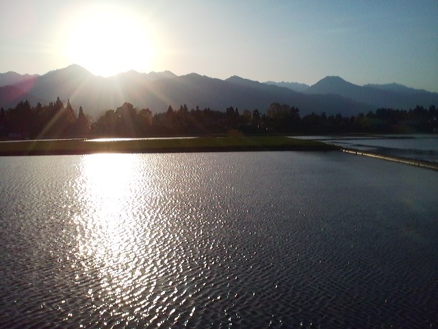 a0272241_21165734.jpg