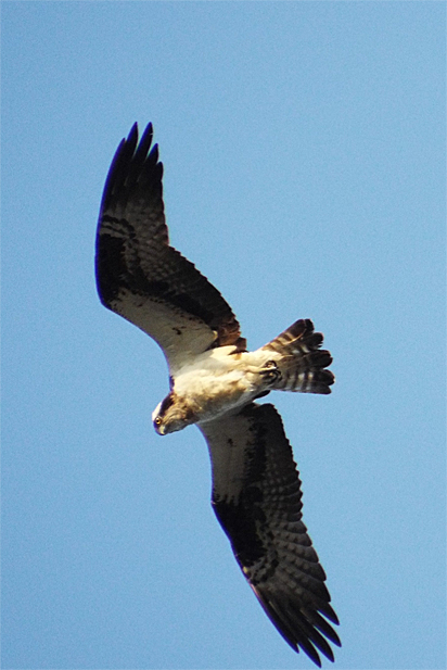 f0214649_427032.jpg