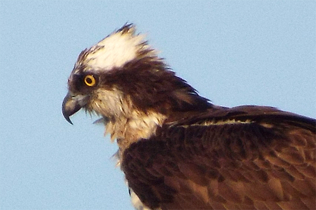 f0214649_4372783.jpg