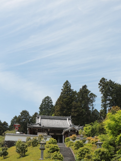 e0017051_1453779.jpg