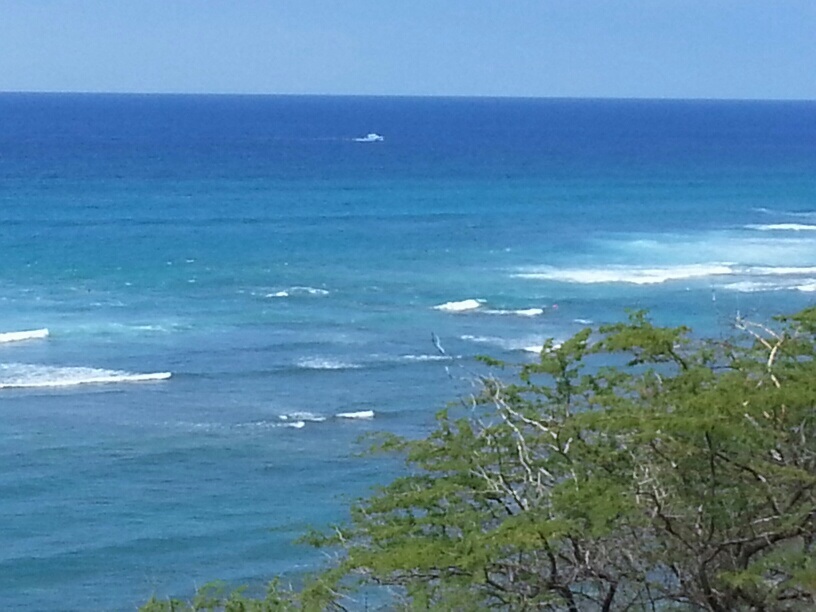 b0126453_1572611.jpg