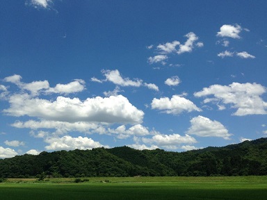 b0002156_0381181.jpg