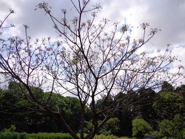 b0061261_22155955.jpg