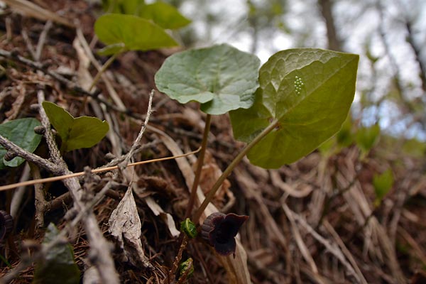 c0043361_22261539.jpg