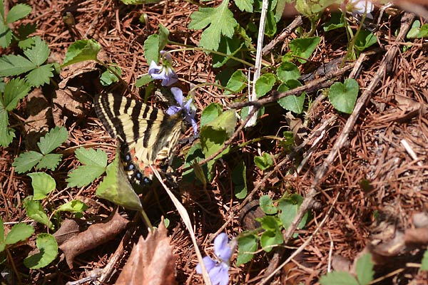 c0043361_22334277.jpg