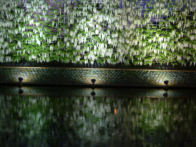 c0050264_20555786.jpg