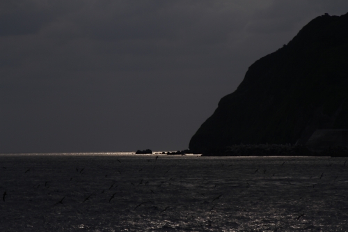 f0342471_1013668.jpg