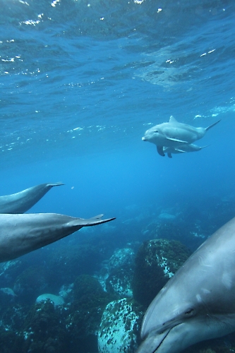 f0342471_758595.jpg