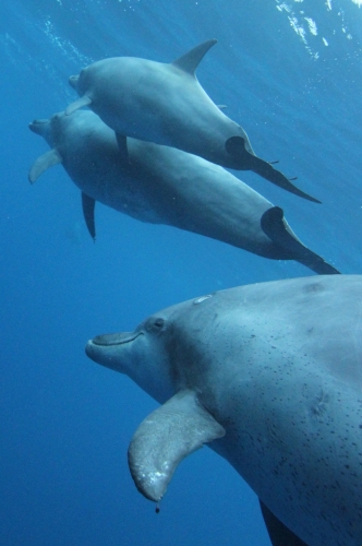 f0342471_8133657.jpg