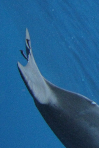 f0342471_814081.jpg