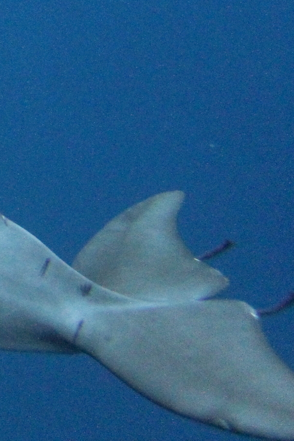 f0342471_814929.jpg