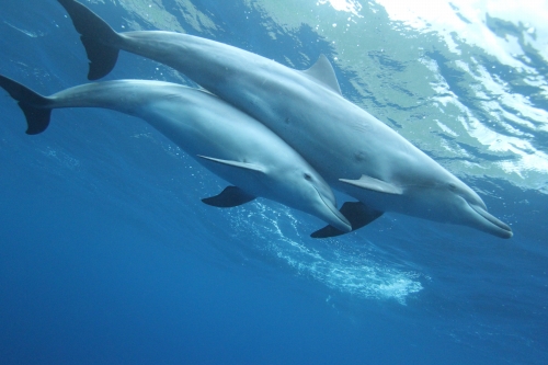 f0342471_8151164.jpg