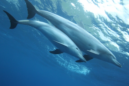 f0342471_8155527.jpg