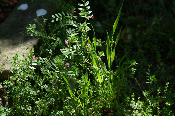 a0053783_23132885.jpg