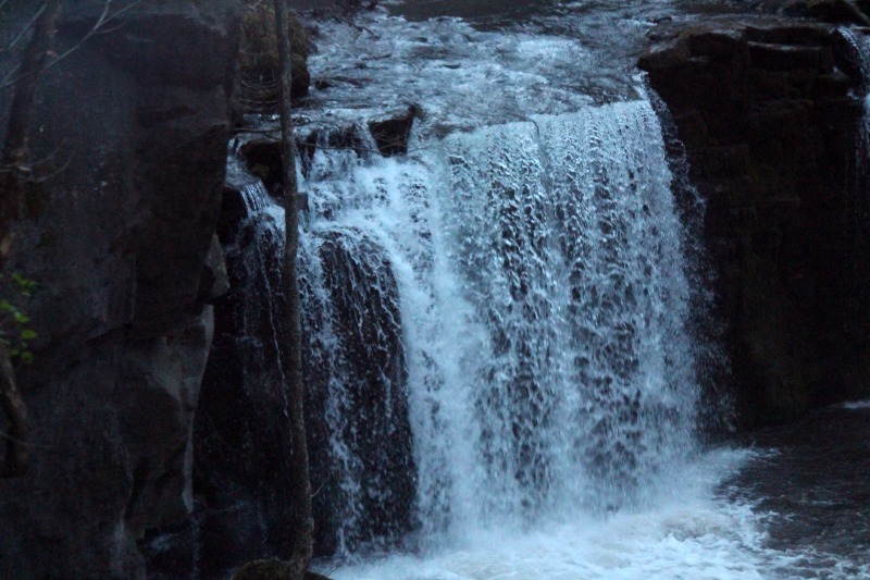 a0127090_8492391.jpg
