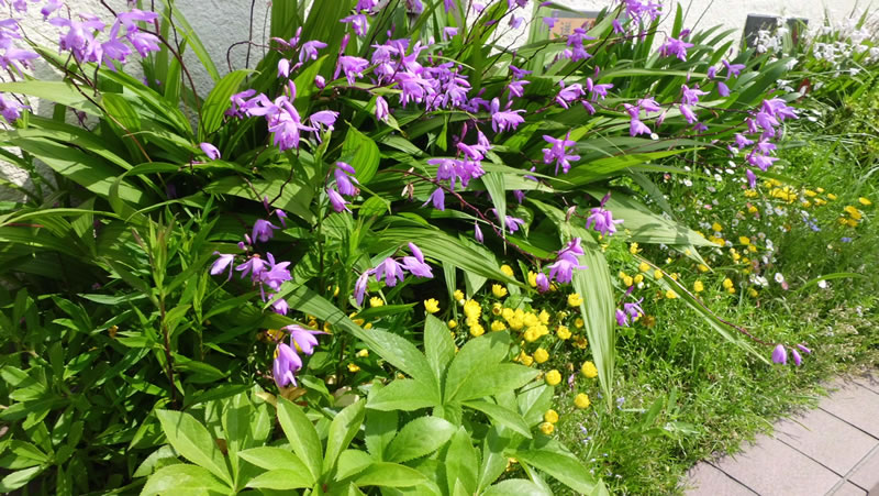 b0287790_12105799.jpg