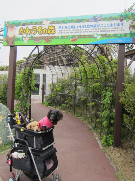 d0098295_22385897.jpg