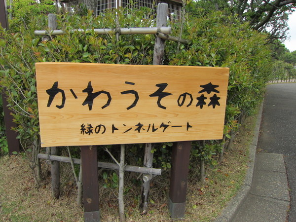 d0098295_2241514.jpg