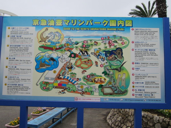 d0098295_229291.jpg