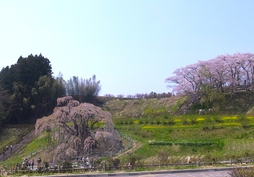 f0108399_0101476.jpg