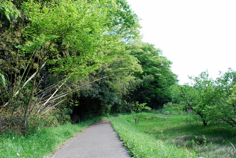 e0025300_9171127.jpg