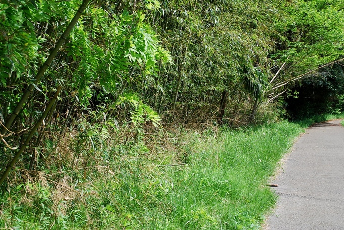 e0025300_9175266.jpg