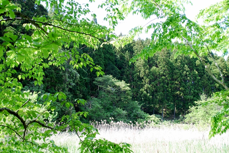 e0025300_9191782.jpg