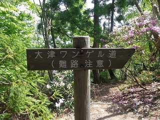 b0326303_23321671.jpg