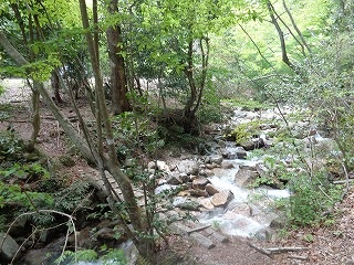 b0326303_23322842.jpg