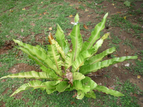 f0250403_12482385.jpg