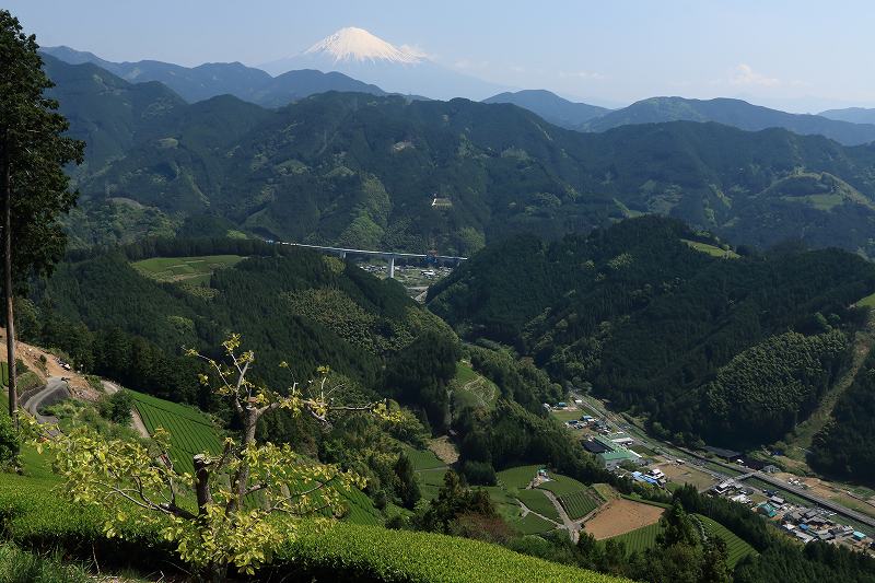 a0188405_2320517.jpg
