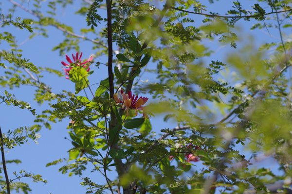 c0056707_15425561.jpg