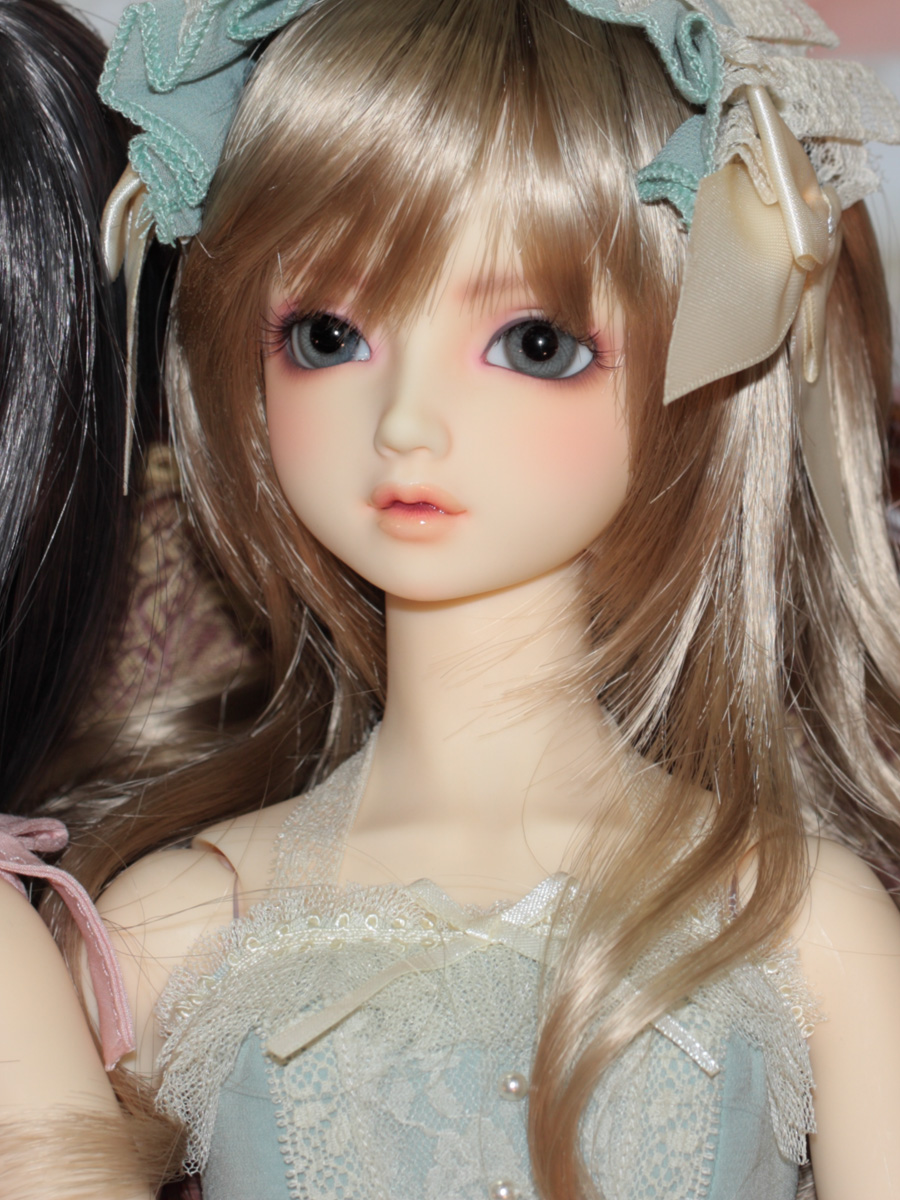 SD スタンダードモデル サキ www.vetrepro.fr