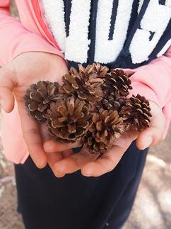 a0240108_22301110.jpg