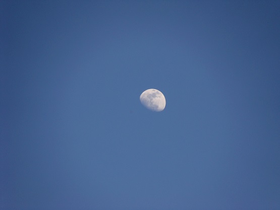 e0123808_130387.jpg