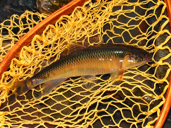 e0123808_1364775.jpg