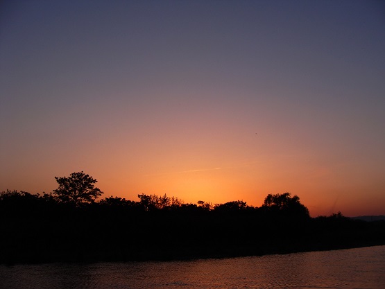 e0123808_1453087.jpg