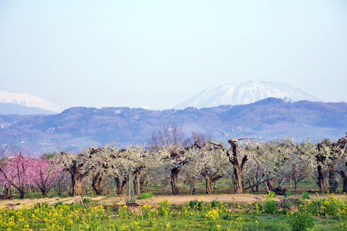 a0263109_17305544.jpg