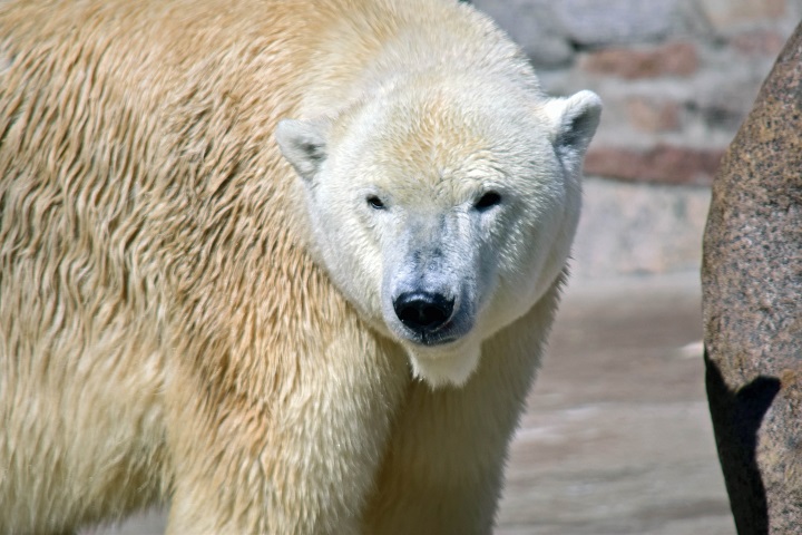 a0151913_428476.jpg