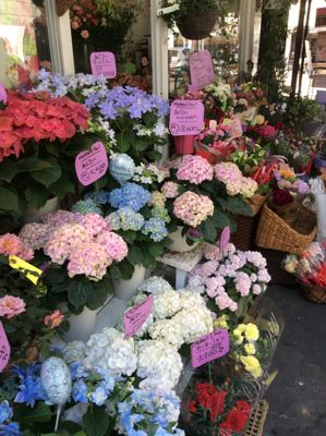 f0165831_11291846.jpg