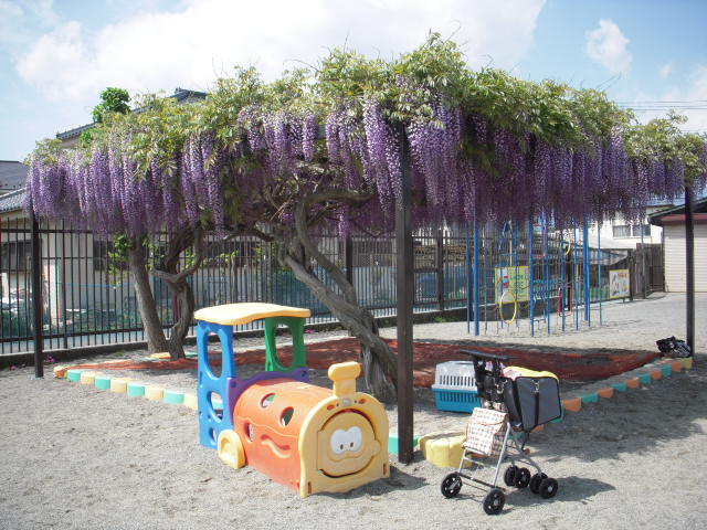 c0114833_11225654.jpg