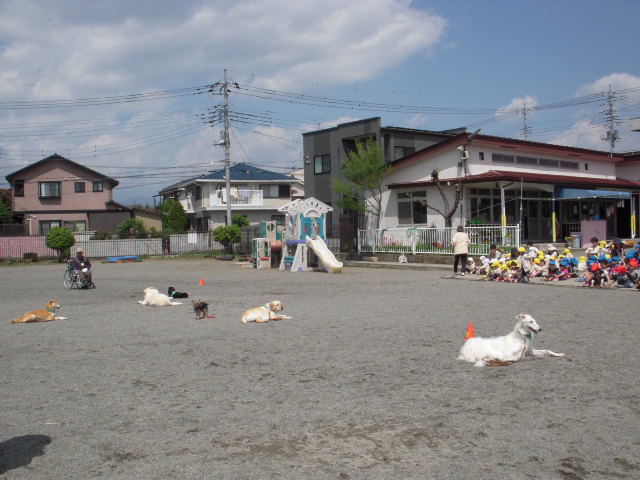 c0114833_1132966.jpg