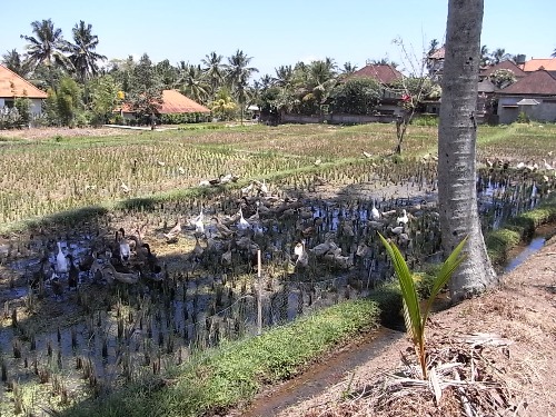 e0039033_11342382.jpg