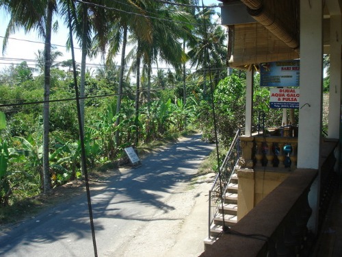 e0039033_1275438.jpg