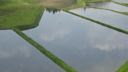 c0300035_10312232.jpg